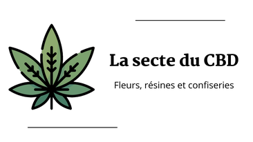 La Secte du CBD